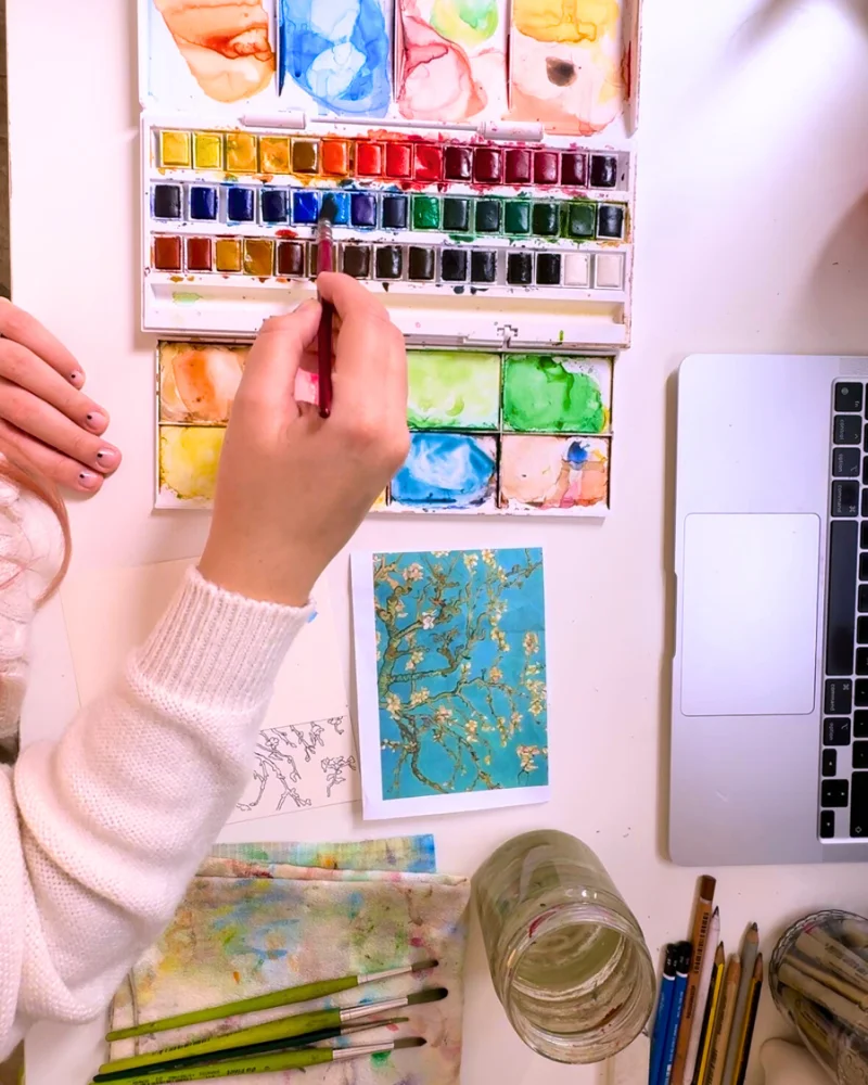 Shubi Hubi Studio 11